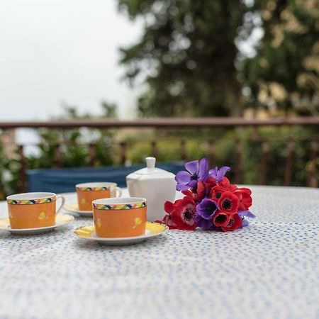 Apartment Urban Garden Rijeka Ngoại thất bức ảnh